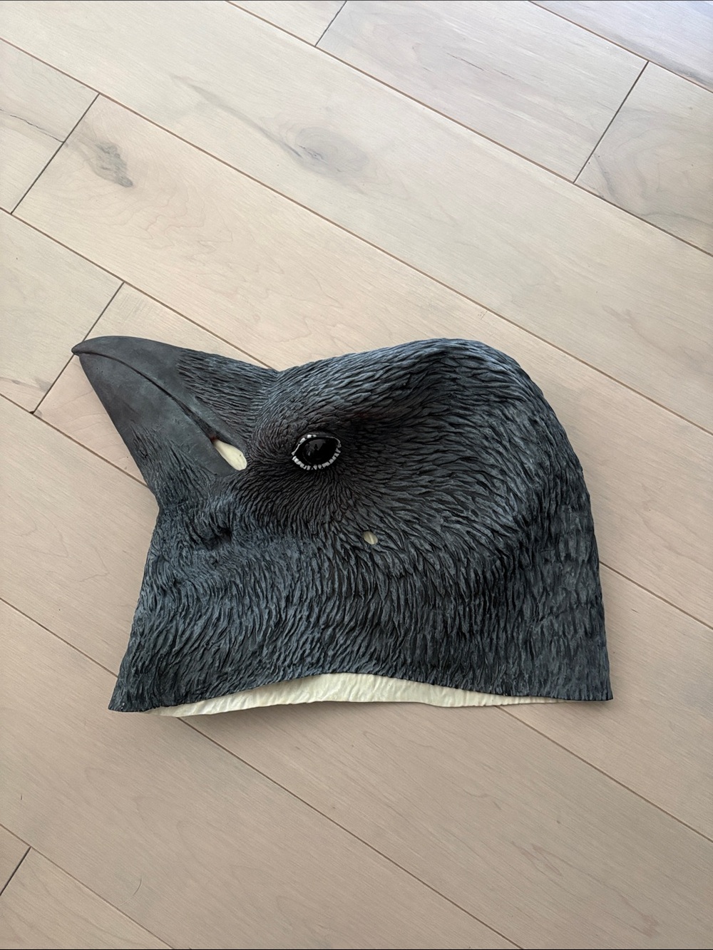 Halloween Gray Crow Bird Head Mask for Adult Costumes
